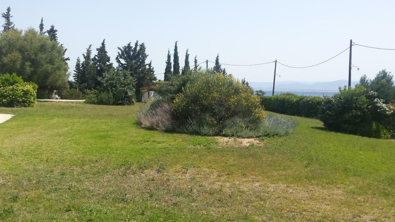 הוילה Beautiful House By The Sea,Loutraki Skaloma. מראה חיצוני תמונה